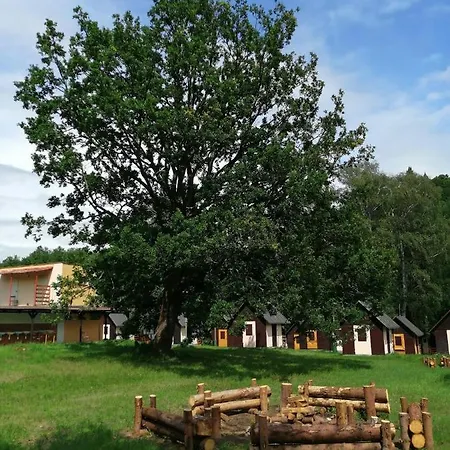 Sport Camp Levinsky Kocour